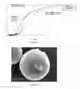 Fig. 09 - METHOD FOR COATING POWDERS