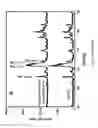 Fig. 07 - Composite of amorphous calcium phosphate/calcium sulfate hemihydrate (CSH/ACP) for bone implantation and process for producing the same