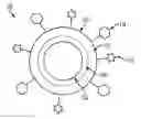 Fig. 01 - Nanoparticle Based Immunological Stimulation
