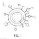 Fig. 02 - Nanoparticle Based Immunological Stimulation