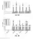 Fig. 09 - Nanoparticle Based Immunological Stimulation