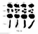 Fig. 14 - Nanoparticle Based Immunological Stimulation
