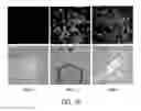Fig. 20 - Nanoparticle Based Immunological Stimulation