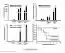 Fig. 02 - CELL THERAPY FOR TREATMENT OF LIVER FAILURE