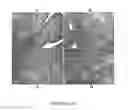 Fig. 03 - CELL THERAPY FOR TREATMENT OF LIVER FAILURE