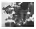 Fig. 01 - Enzyme Delivery Systems and Methods of Preparation and Use