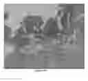 Fig. 11 - NOVEL INJECTABLE CHITOSAN MIXTURES FORMING HYDROGELS