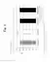 Fig. 04 - Polyphenol-containing composition for oral administration or external use and use of same