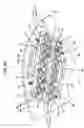 Fig. 25 - Blow molding apparatus