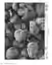 Fig. 14 - Potato products with enhanced resistant starch content and moderated glycemic response and methods thereof