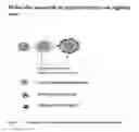 Fig. 02 - MULTILAYERED POLYELECTROLYTE-BASED CAPSULES FOR CELL ENCAPSULATION AND DELIVERY OF THERAPEUTIC COMPOSITIONS