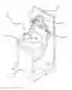 Fig. 46 - Seed treatment facilities, methods and apparatus