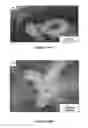 Fig. 13 - ELECTROSPUN MICROTUBES AND NANOTUBES CONTAINING RHEOLOGICAL FLUID