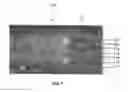 Fig. 07 - Ultra-resilient fabric and method of making thereof