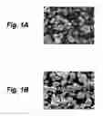Fig. 02 - Cathode active material, cathode, and nonaqueous electrolyte battery