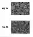 Fig. 09 - Cathode active material, cathode, and nonaqueous electrolyte battery
