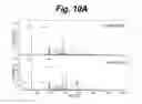 Fig. 12 - Cathode active material, cathode, and nonaqueous electrolyte battery