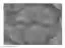 Fig. 01 - Positively chargeable toner for electrostatic image development