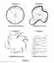 Fig. 08 - Methods and Apparatuses To Enhance Cognitive Functioning And Its Manifestation Into Physical Form and Translation Into Useful Information