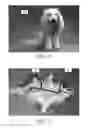 Fig. 02 - Flexible and rigid endoscopic training device (FRED)