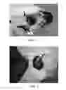 Fig. 03 - Flexible and rigid endoscopic training device (FRED)