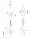 Fig. 09 - Hydrolase enzyme substrates and uses thereof