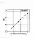 Fig. 03 - Method for determination of the length of the G-tail sequence and kit for the method
