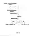 Fig. 02 - Methods for distinguishing between natural and artificial DNA samples