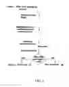 Fig. 06 - Methods for distinguishing between natural and artificial DNA samples