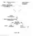 Fig. 07 - Methods for distinguishing between natural and artificial DNA samples