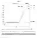 Fig. 06 - NUCLEIC ACIDS AND METHODS FOR THE DETECTION OF ENTEROBACTER SAKAZAKII (CRONOBACTER SPP.)
