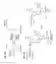 Fig. 04 - Detection of disease related genes
