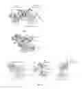 Fig. 07 - RAF DIMERS AND USES THEREOF