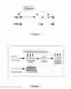Fig. 07 - Enzymatic substrates for multiple detection systems