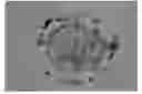 Fig. 01 - Encoded Microparticles