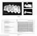Fig. 02 - Encoded Microparticles