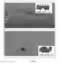 Fig. 05 - Encoded Microparticles