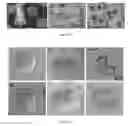 Fig. 08 - Encoded Microparticles