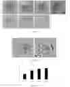 Fig. 09 - Encoded Microparticles