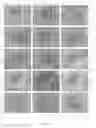 Fig. 10 - Encoded Microparticles