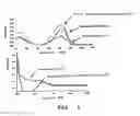 Fig. 02 - Method for the qualitative and/or quantitative analysis of tumour cells