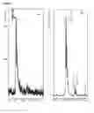 Fig. 06 - Method for evaluating cell populations