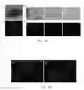 Fig. 14 - METHODS FOR OBTAINING HEPATOCYTES, HEPATIC ENDODERM CELLS AND HEPATIC PROGENITOR CELLS BY INDUCED DIFFERENTIATION