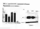 Fig. 06 - Sp35 antibodies and uses thereof