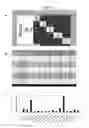 Fig. 09 - Culture Medium and Methods for Producing Alginate From Stable Mucoid Strains of Pseudomonas Aeruginosa