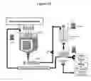 Fig. 17 - Culture Medium and Methods for Producing Alginate From Stable Mucoid Strains of Pseudomonas Aeruginosa