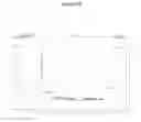 Fig. 19 - Culture Medium and Methods for Producing Alginate From Stable Mucoid Strains of Pseudomonas Aeruginosa