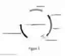 Fig. 07 - O-phosphoserine sulfhydrylase mutants and method for production of cysteine using the same