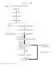 Fig. 02 - Microorganism producing O-phosphoserine and method of producing L-cysteine or derivatives thereof from O-phosphoserine using the same