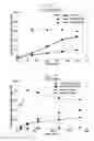 Fig. 06 - Microorganism producing O-phosphoserine and method of producing L-cysteine or derivatives thereof from O-phosphoserine using the same